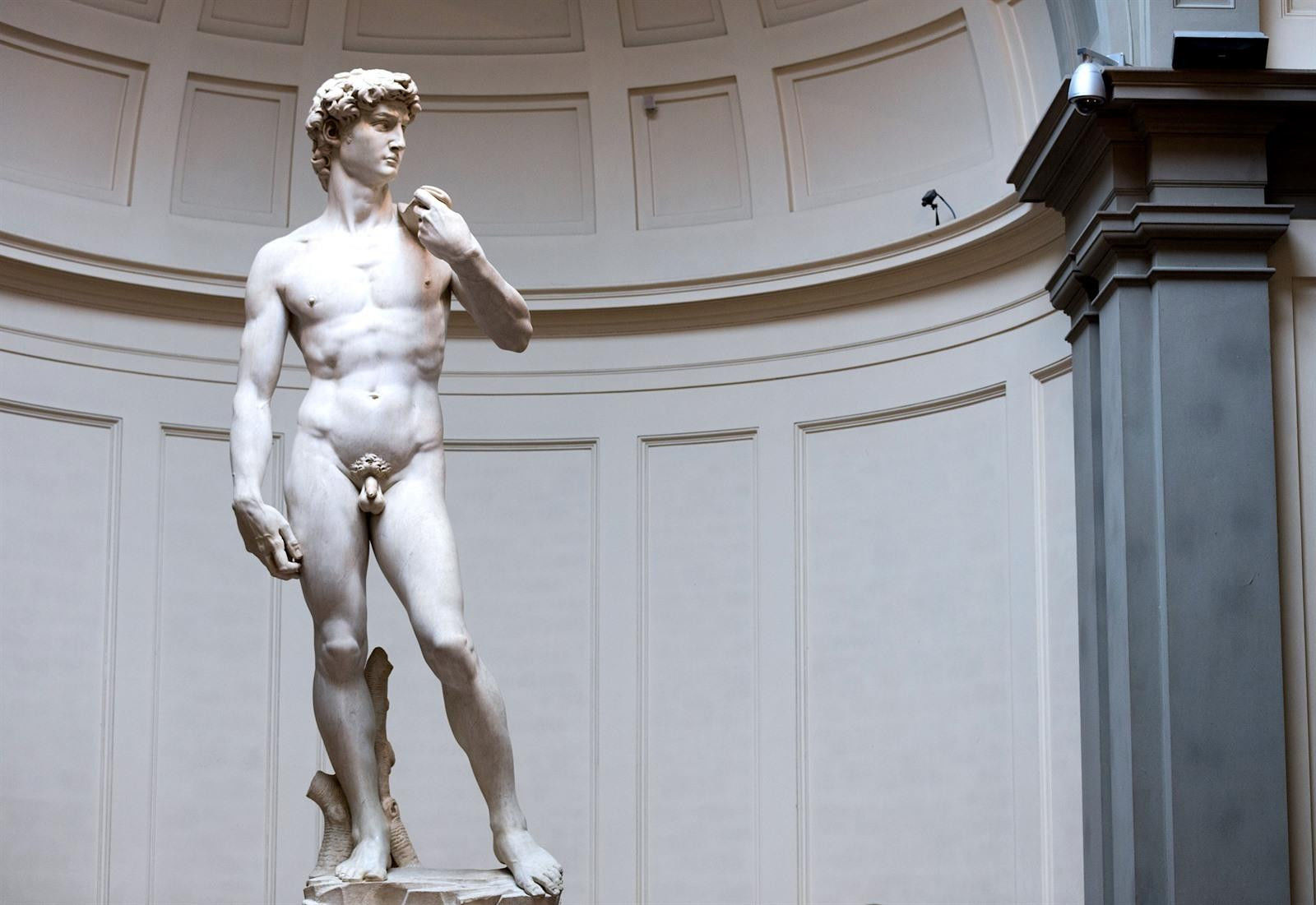 De marmeren sculptuuur 'David', die de reus Goliath onverschrokken tegemoet treedt, Michelangelo, 1501